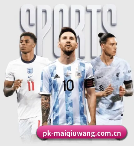 pk-maiqiuwang.com.cn的方向