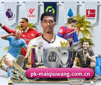 pk-maiqiuwang.com.cn APP